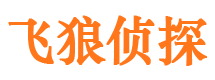 梁子湖市私家侦探